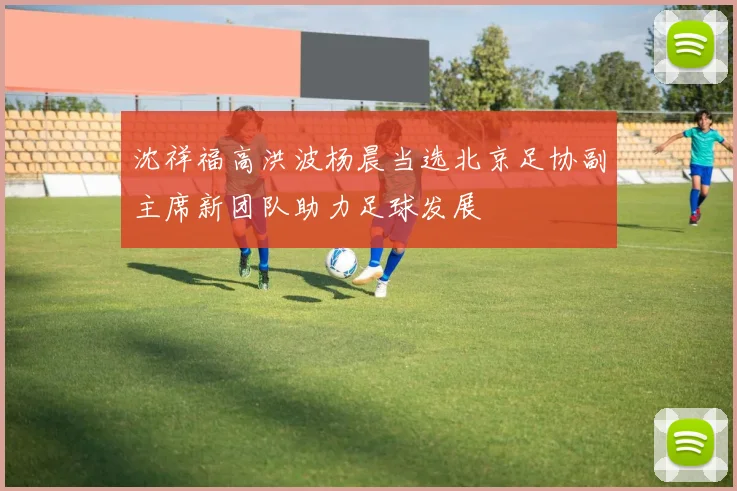 沈祥福高洪波杨晨当选北京足协副主席新团队助力足球发展
