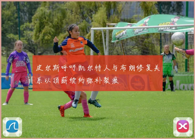 皮尔斯呼吁凯尔特人与布朗修复关系以顶薪续约弥补裂痕